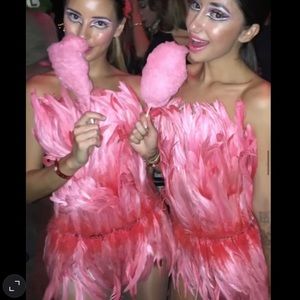 Flamingo Halloween Costume